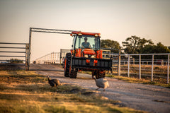 Kubota MX series cab tractor with a front loader, driving through a ranch gate past guinea fowl
